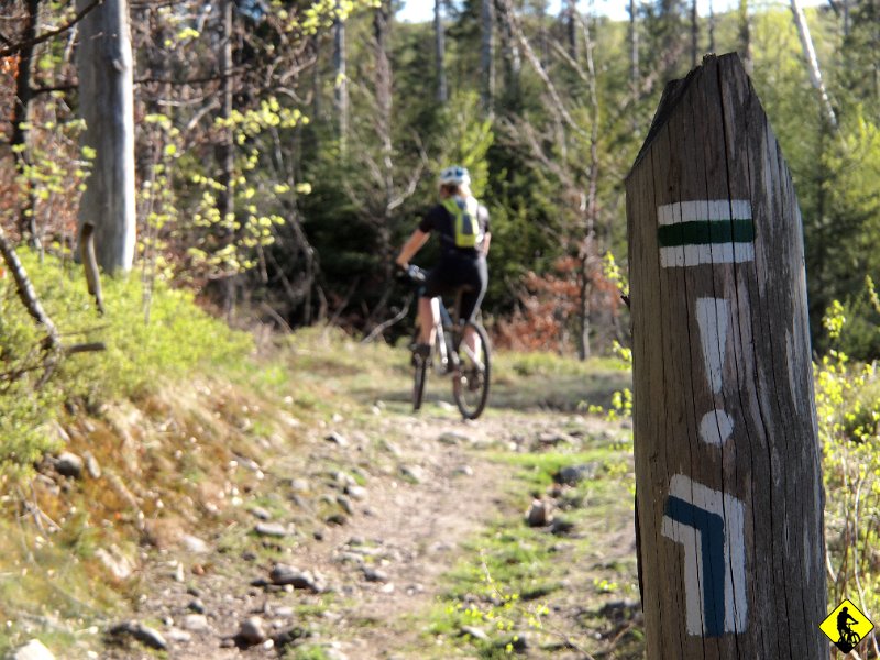 21.jpg - Za Mladą Horą szlaki: niebieski i zielony rozchodzą się. Przejazd zielonym byłby bezsensem, no chyba, że ktoś by nas odebrał pod kościołem w Kocierzy.
