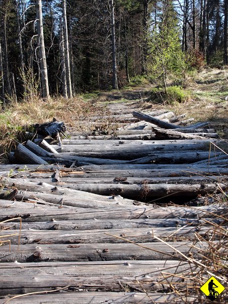 22.jpg - Zjeżdżamy więc niebieskim przez przełęcz Przystopek do Koconia (właśnie udało mi się jeszcze bardziej rozerwać mapę! – w sensie w domu jak szukałem nazwy przełęczy – talent ).