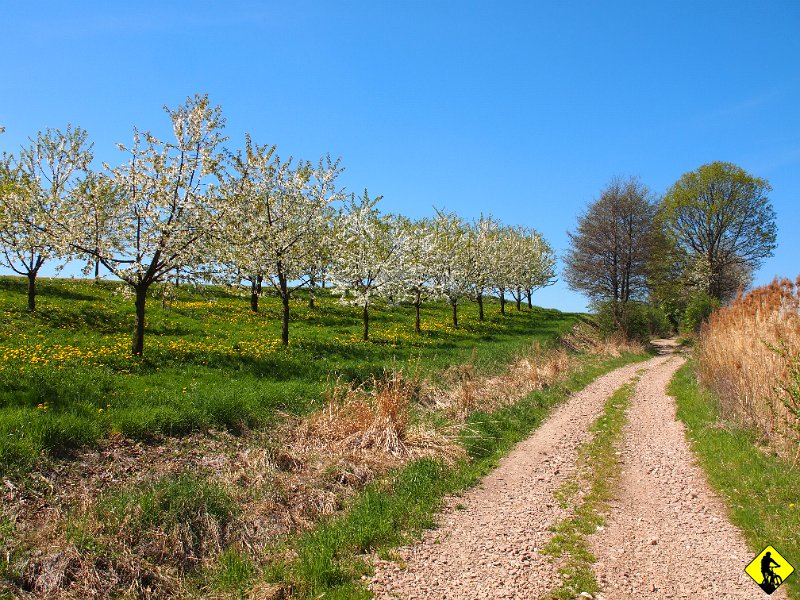 3.JPG - Potem trasa przybiera formę szablonu z maratonów, czyli Kryspinów i Morawica ( Kamienna Góra ).