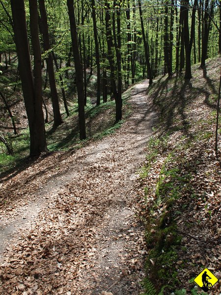 4.jpg - Wpadamy do Wąwozu Półrzeczki ( niebieski szlak ), gdzie mijamy sporo zajawionych wspinaczy. Dobrze, że chłopaki coś robią poza klikaniem „lubię to” na kompie :)