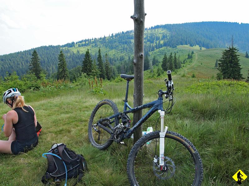 P7011607.JPG - Na Hali Pawlusia (cudowny widok) nasza ścieżka ucieka do lasu i tam zaczyna się walka z przyrodą. Jeden z ciekawszych technicznie odcinków wiodący w dół. Spotykam turystę, który zmierza w przeciwnym kierunku i mówi, że bardzo ciekawy szlak. Odpowiadam mu, żeby wyobraził sobie jak musi być na rowerze w drugą stronę. Słyszę kolejne pytanie: Próbowałeś kiedyś w drugą stronę? Odpowiadam: "Chyba żartujesz" i ustawiam banana na twarzy :)