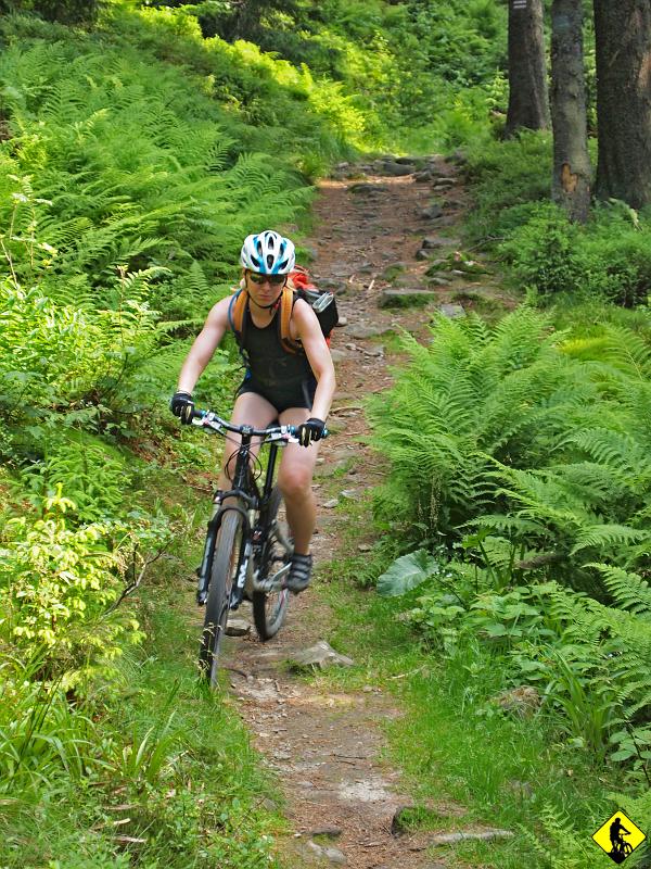 P7011613.jpg - Dla Agi jest to trudny odcinek. Stara się jak może. Jednak wizja przepaści po jednej stronie jest czasem większa niż adrenalinowy szał :) Mój szał jest nie do ogarnięcia, więc też pozostawiam Agę na chwilę z tyłu i katuję zawieszenie aż miło :)