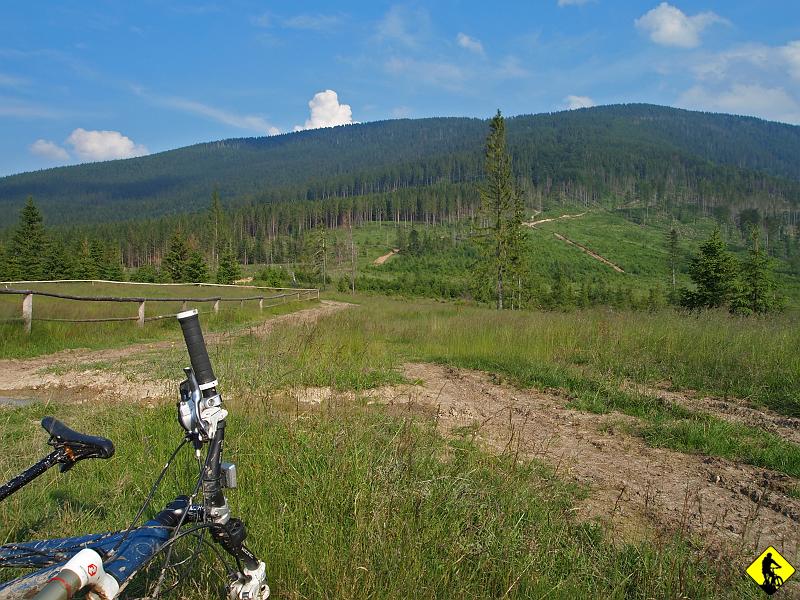 P7011615.JPG - Częściowo szlaki piesze są zniszczone przez karczowanie lasów. W polsce nikt się tym nie przejmuje. Krzyk kilkunastu rowerzystów nie jest zauważalny przez nikogo. Przecież i tak nic nie zdołamy zmienić. Tak czy owak końcową trasę mylimy i zamiast zjechać do Węgierskiej Górki czerwonym przez Abrachamów (wszystko terenem)....