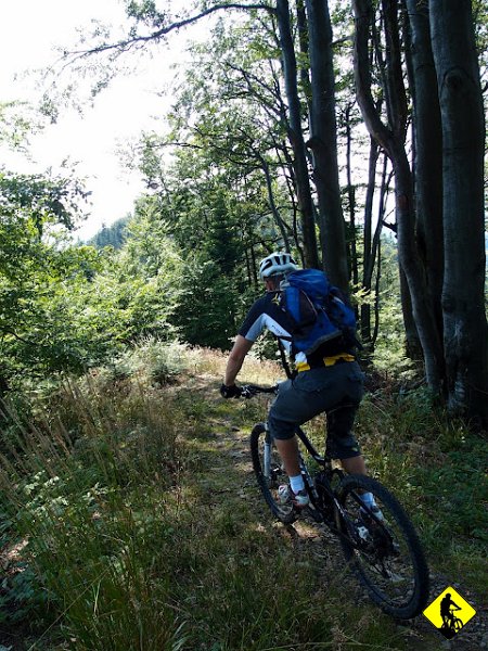 10.JPG - Wąska, techniczna ścieżka usiana kamienieniami i potężnymi korzeniami, co chwila zmienia swój kierunek. W wielu miejscach jazda jest wręcz niemożliwa, ze względu na zarośnięcie szlaku, jednak wiele fragmentów daje sporo satysfakcji z ich czystego przejechania, a jak wiadomo dodatkowe punkty do skilla zdobywane na polskich szlakach są niezwykle cenne.