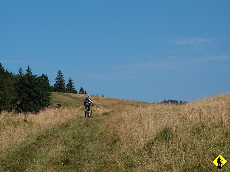 17.JPG - Podczas ładowania baterii pod sklepem zapada decyzja o dalszym naszym losie. Kierunek Biała Woda. Poszukiwania drogi trawersującej zbocze Fladera (861 m n.p.m.), mimo pytań do tubylców, pełzną na niczym. Pozostaje nam wbić na czerwony szlak tuż przy wjeździe do Rezerwatu Białej Wody. Jak się później okazuje owa droga „na około” istnieje (drugi zakręt w lewo od parkingu).