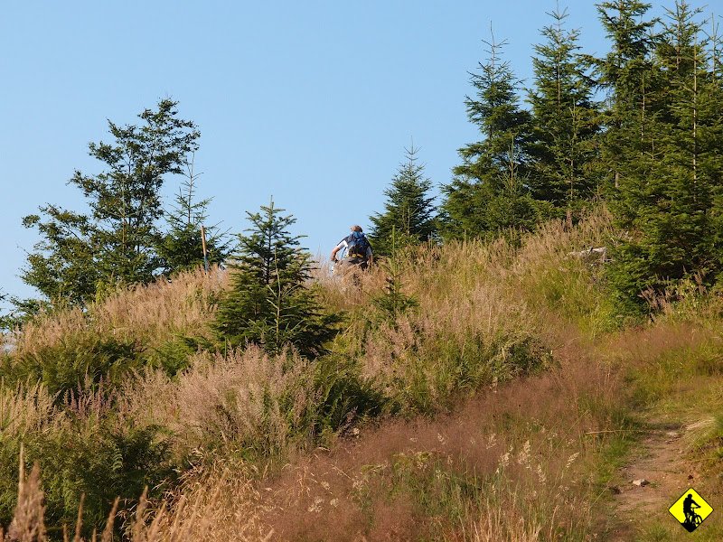 19.JPG - Jadąc niebieskim na Wlk. Rogacz warto w pewnym momencie skręcić na szlak narciarski, będący w lecie fantastyczną wąską ścieżką.