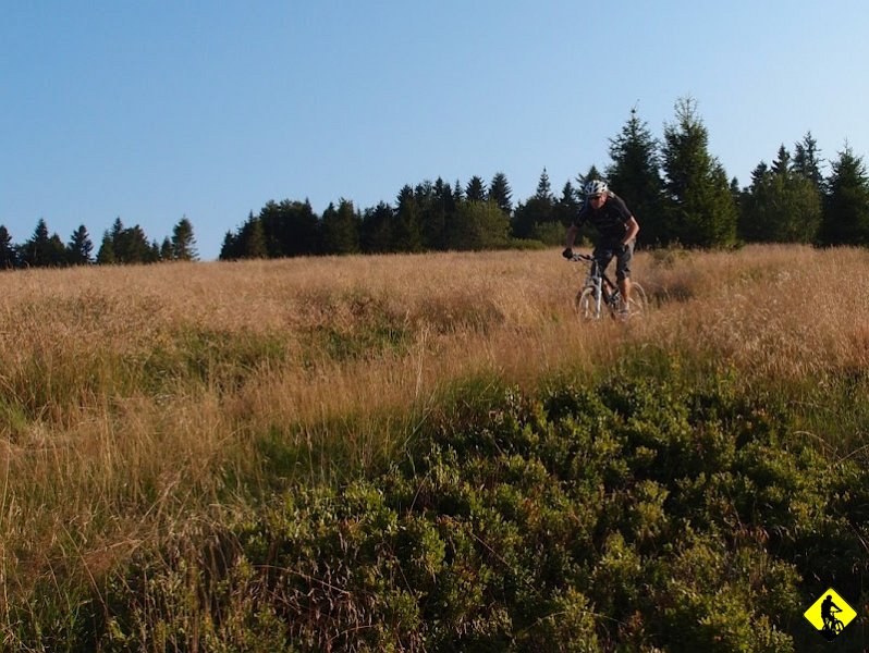 21.JPG - Te 10 km jest w głównej mierze szybkim i dość prostym zjazdem, ale zawierającym kilka fragmentów, na których przyda się dobra technika, choć co poniektórzy pewno ich nie dostrzegą ;)