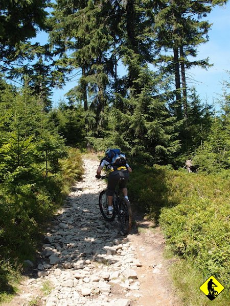 5.JPG - Dla Starego i jego “Dzajanta” nie istnieje pojecie “zbyt dużo luźnych kamieni”. Mimo braku treningów ów Koks wyjeżdżał tego dnia wszystko. Ile w tym zasługi Maestro?