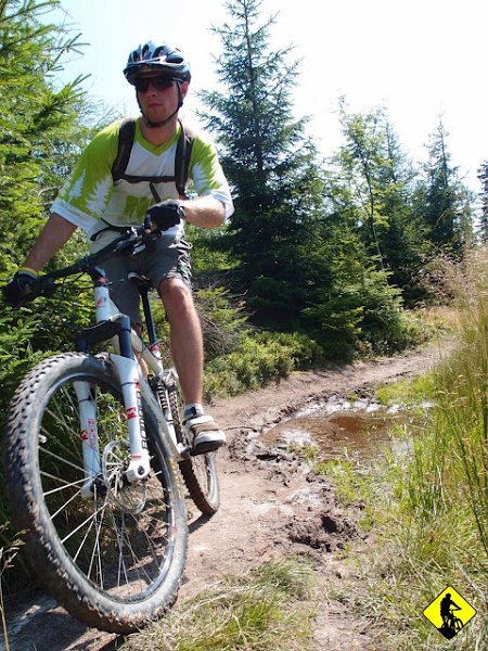 6.JPG - Odcinek Radziejowa- Przehyba to klasyk MTB, częściej chyba jednak pokonywany w przeciwnym kierunku. Większą frajdę na tym odcinku czerwonego szlaku można osiągnąć jadąc właśnie w kierunku Przehyby.