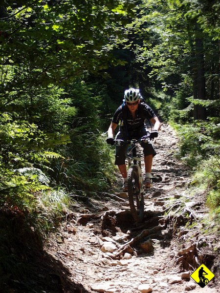 7.JPG - Sporo progów powstałych dzięki licznej siatce korzeni pozwala niemalże cały czas przebywać w powietrzu, odbijając się niczym kozłowana piłka. Miodzio!