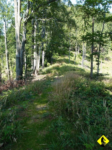 9.JPG - Za rozwidleniem z niebieskim szlakiem, zielony pokazuje swoje drugie oblicze. A teren weryfikuje nasz godzinny plan. Tutaj juz za pierwszym nieprzejezdnym fragmentem...