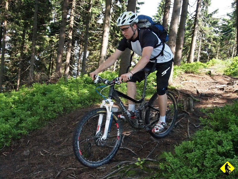 9a.jpg - Zaliczmy fajną sekcję z korzeniami, gdzie Dżony…