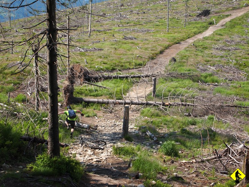 9b.JPG - …ćwiczy awaryjne lądowanie po szybkim odrzuceniu roweru w bok w przód  Noty? coż… telemarku nie było :)