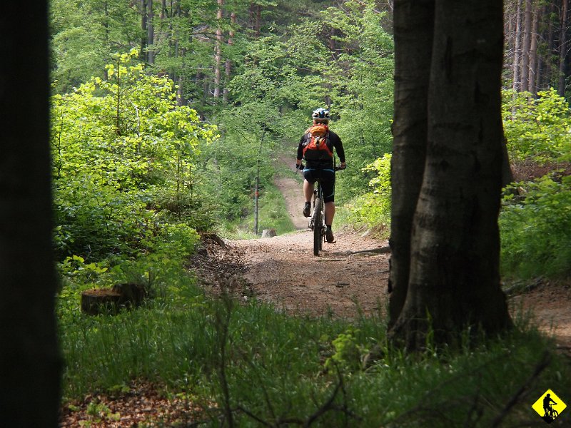 14.JPG - Coś się zanosi na niebie i nawet trochę straszy w oddali :/
