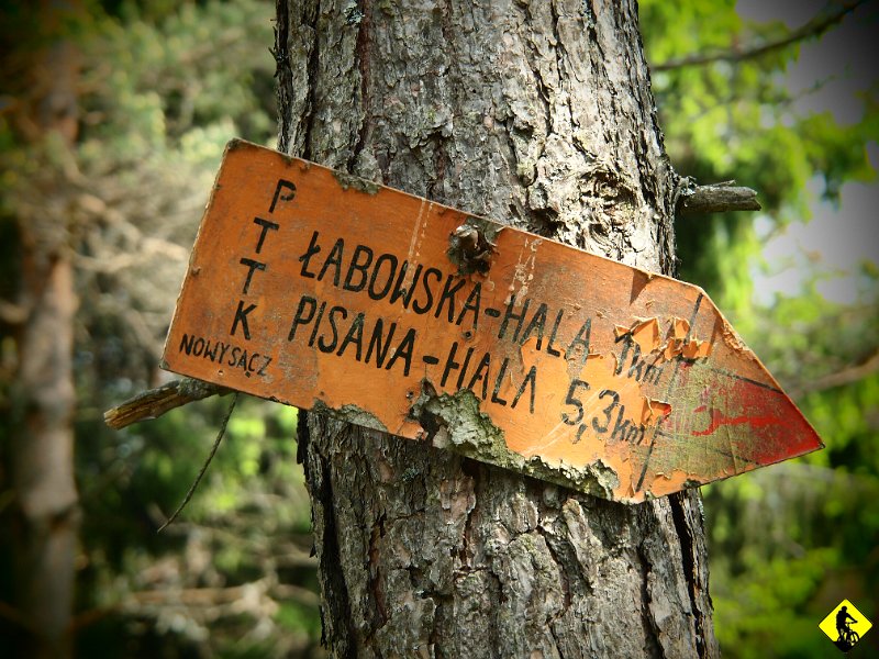 15.JPG - Na Halę Łabowską został 1km, więc tam się zastanowimy co zrobić.