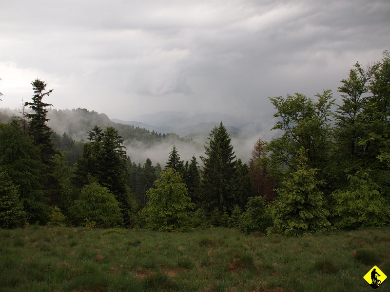 17.JPG - Waliło deszczem z 30min jak siedzieliśmy w lesie. Do tego błyski i grzmoty! Poważny błąd! Sam się do dzisiaj dziwię, że zachowałem się jak amator. Jakbym w górach nigdy nie był…