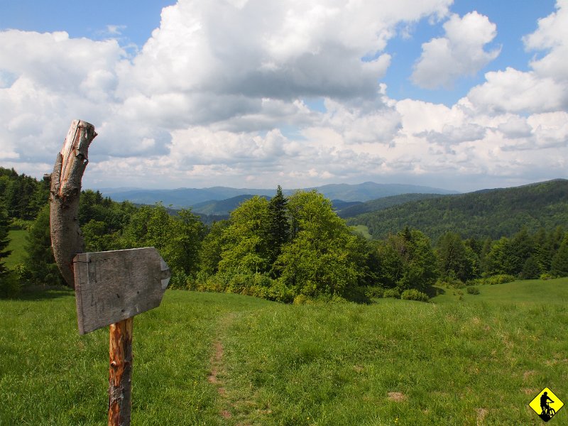 4.JPG - Gdy już szlak się łączy z trasą z kolejki, kierujemy się w stronę Runka.