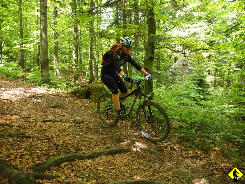 6.JPG - Po minięciu Runka --> Kierunek Drabiakówka na niebieskim Szlaku, gdzie kończy się wyciąg narciarski na Słotwinach.