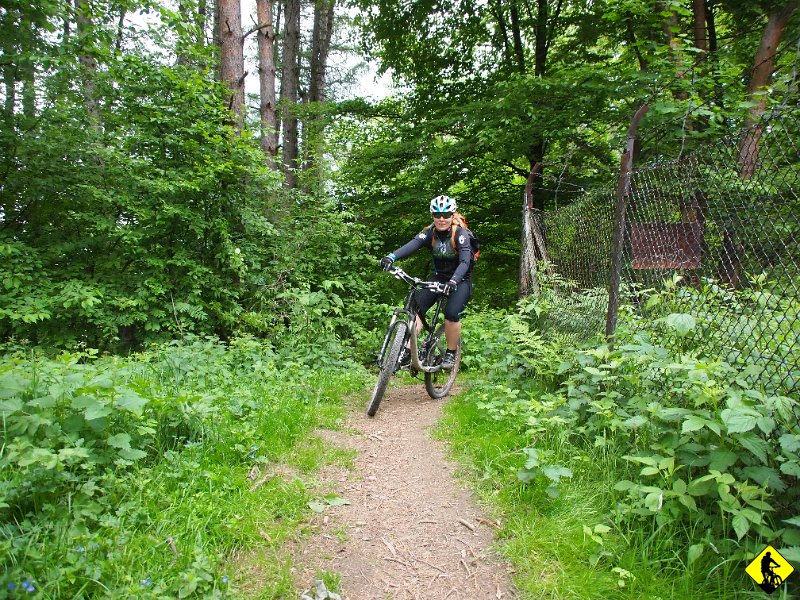 8.JPG - Teraz wywołuje tylko pozytywne emocje. Trochę spowszedniał :/ Pomimo to, jest to fajny szybki leśny kawałek. Kończy się praktycznie w centrum miasta! Wystarczy zjechać po schodach i wypada się przed promenadą, gdzie jest Pijalnia wód.