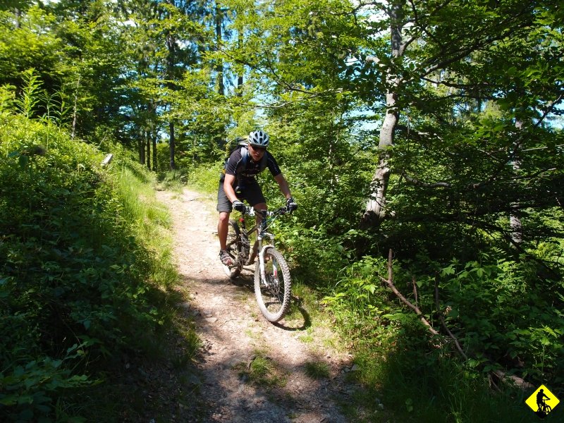 7.JPG - Michał: Odcinek z Kiczory na Przełęcz Knurowską nazwałbym... no właśnie ciężko nazwać uczucię jak ciśniesz w dół po „szynach” widząc po lewej całe pasmo Lubania, a z przodu zalew Czorsztyński i Tatry.