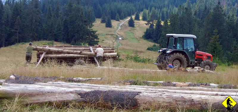 IMG_2532a.jpg - Oto w jaki sposób można załadować przyczepę balami drewna przy udziale tylko dwóch osób!