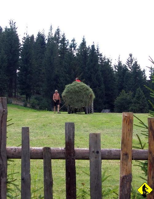 IMG_2537a.jpg - Na Starych Wierchach łączę się z bazą i pytam jak z Transportem do Krk. Niestety wieści nie są obiecujące i bedziemy sporo czekać w Rabce.