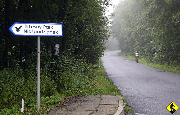 IMGP3599.jpg - Po ustaleniu trasy z Bombatem ruszamy. W planie "mały" tour Ustronia i Wisły przez Orłową, Trzy Kopce, Wielki Stożek i Wielką Czantorie. Start asfaltem na Równicę.