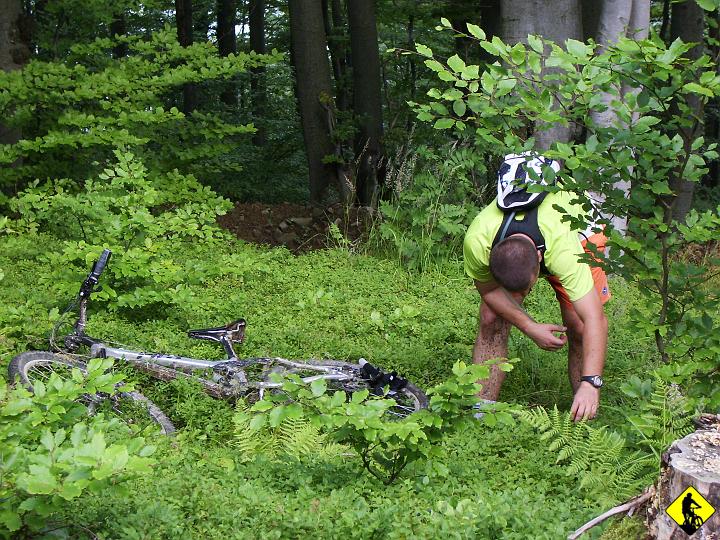 IMGP3674.JPG - Co chwilę mijaliśmy ludzi zbierających borówki. Jurek złamał się pierwszy. Czekając aż jego zew minie, skubnąłem sobie jedną czy dwie :)