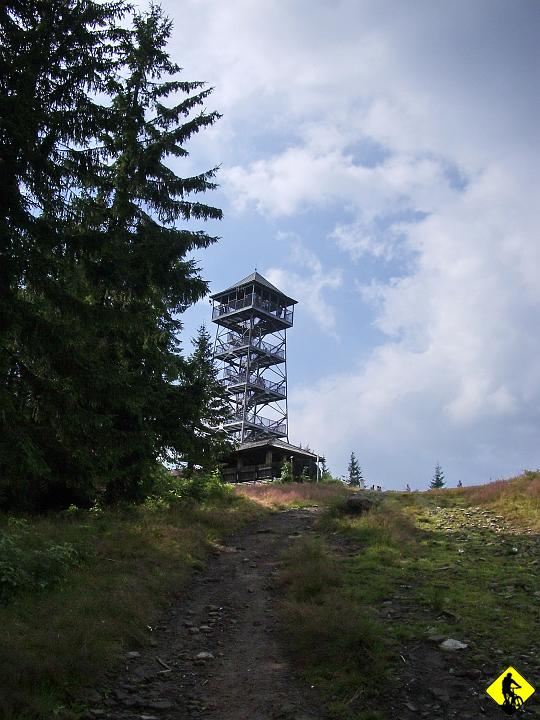 IMGP3677.jpg - Końcówka szlaku na Czantorię kończy się podejściem. W jednym momencie nawet ciężkim, co mnie dosć zdziwiło, gdyż okoliczny teren bardzo dobry do jazdy.