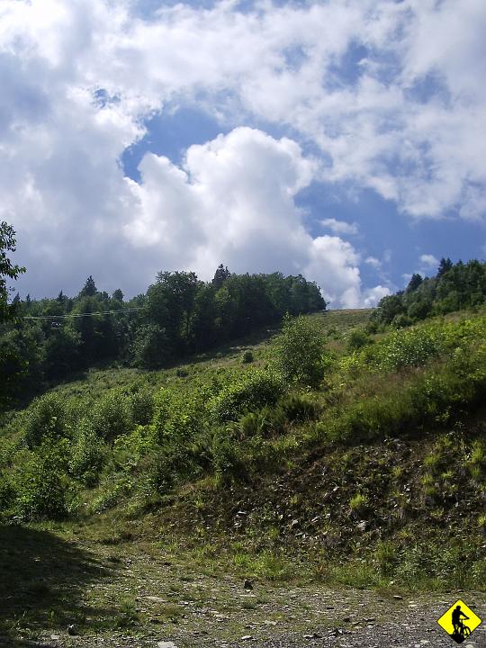 IMGP3726.jpg - Szeroki trakt prowadzi na sam szczyt (czerwony szlak). Zabieram rower od Jurka (full) i jadę samotnie na szczyt.