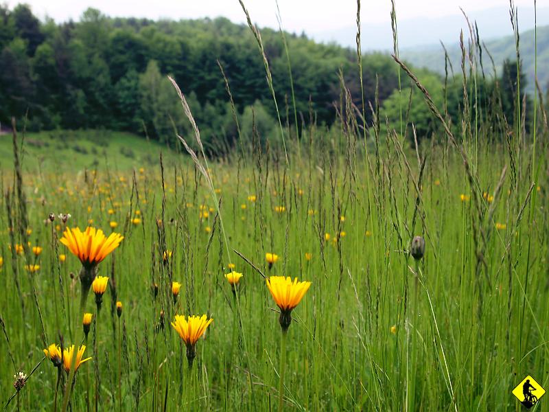 3a.JPG - Kraj czeka na słońce. Doczeka się, teraz to wiemy.