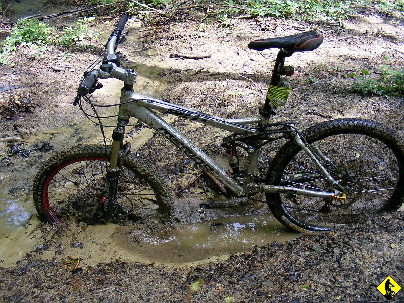 6.JPG - Wniosek jest jeden. Potrzeba z 2 tygodznie, by góry odżyły po powodziach. Wszystko płynie, a to co nie płynie, to już utonęło.