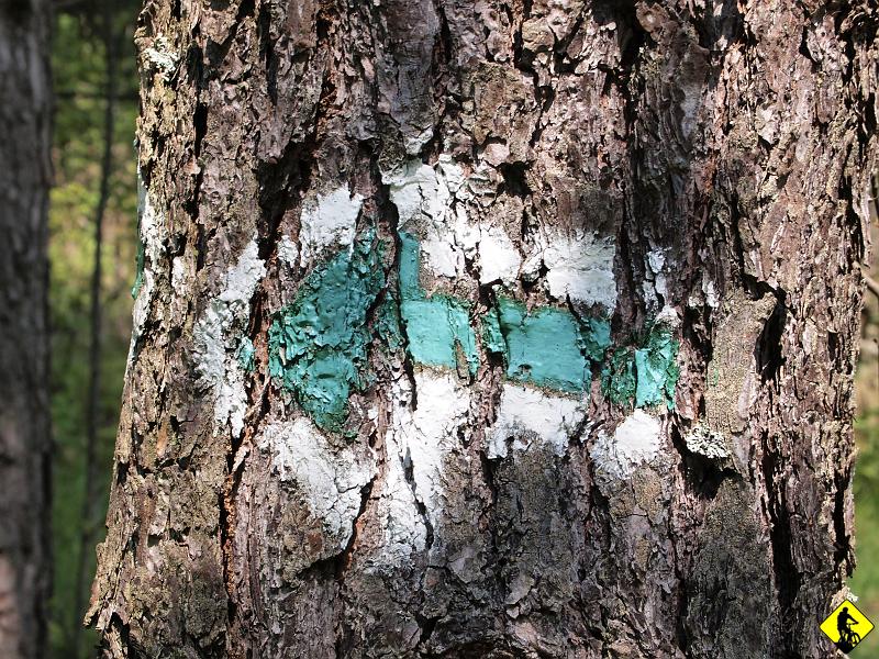 91.jpg - Oznaczenie szlaku raz jest raz nie ma. Odcienk 3km pokonujemy blisko w 1h. Hehe. No co zrobić :) To też element, który się potem będzie wspominać.