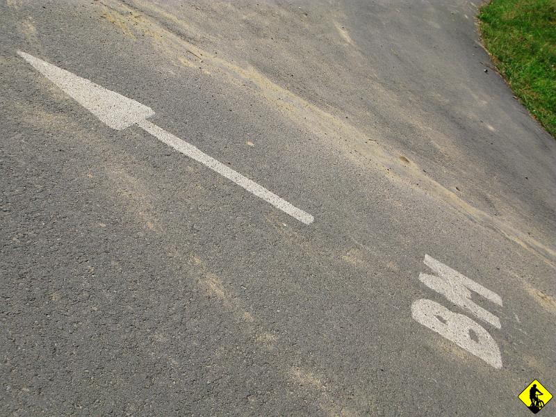 3.jpg - Pierwsze kilometry to w sumie odcinek dojazdowy do grubszego terenu. Malowanie jeszcze intensywne. Kręcimy w kierunku Pasma Brzanki.