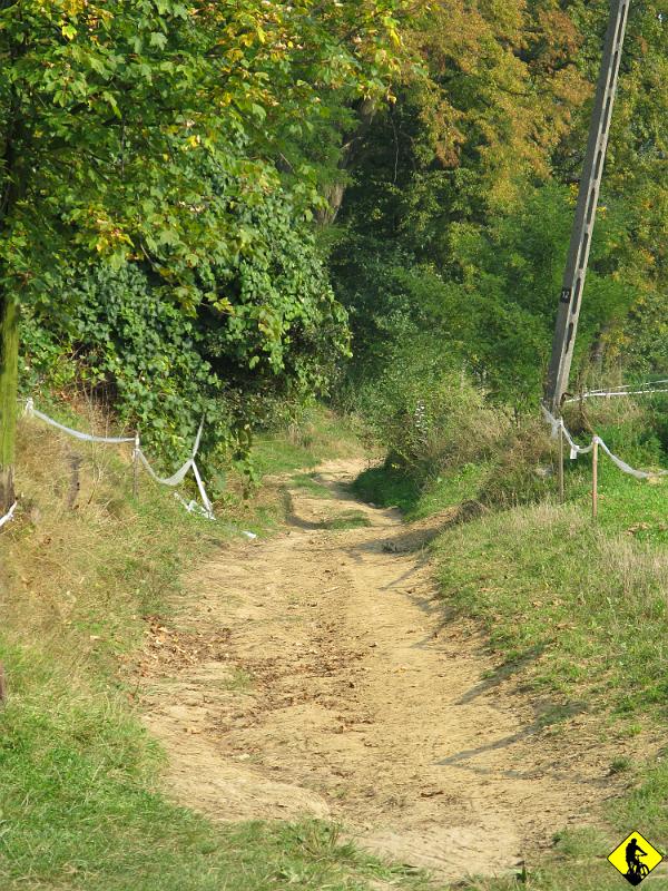 5a.jpg - Im dalej, tym więcej terenu. Mijamy stadniny koni i lokalne ogniska rolnictwa :)