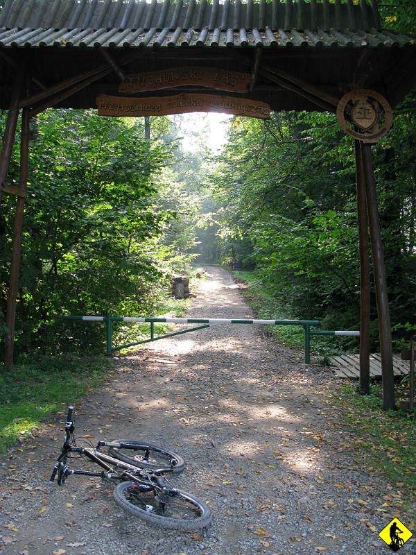 6.jpg - Tuchowski las