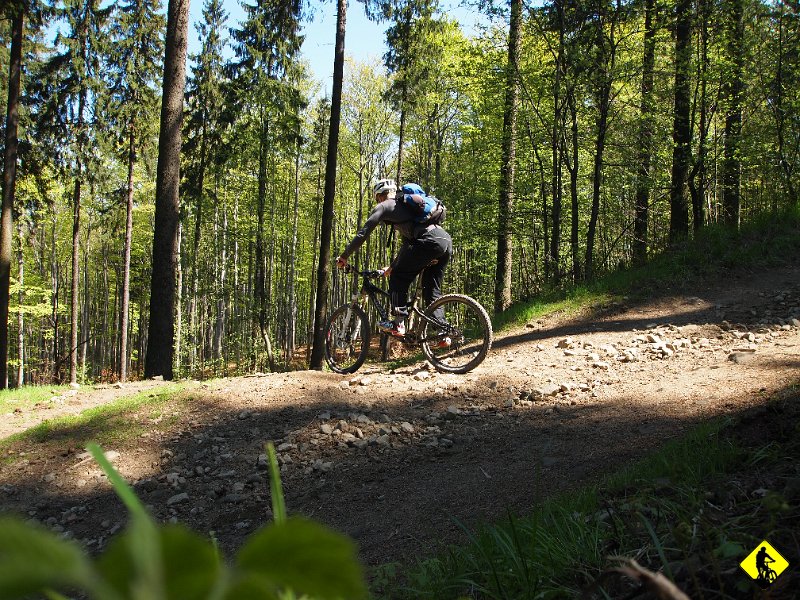 4.JPG - To właśnie ta część "raczej w dół". zawsze będę to powtarzał mało tu odcinków, gdzie nie ma ogromnych kamoli, które skutecznie rozbijają nadgarstki, pomimo skoku 150mm.