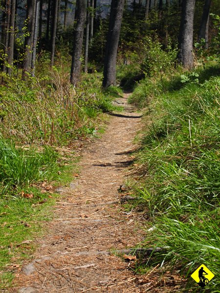 5.jpg - Drugi wyjazd to już grubsza sprawa, aczkolwiek początek jest taki sam… no prawie, bo na Szyndzielnię dostajemy się dzięki kolejce gondolowej :)