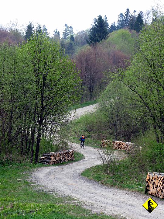 IMG_5067.jpg - Wypijamy herbatkę i ruszamy ostatnią już stokówką w stronę obozu. Aga się zakochała w tego typu szlakach :]