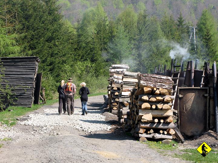 IMG_5083.jpg - Dzień trzeci to wycieczka z Wiśnią w las. Eksploracja całkowicie poza cywilizacją.