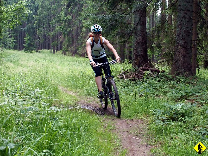 3.jpg - Start. Początek przyjemny. Trochę w górę, trochę w dół.