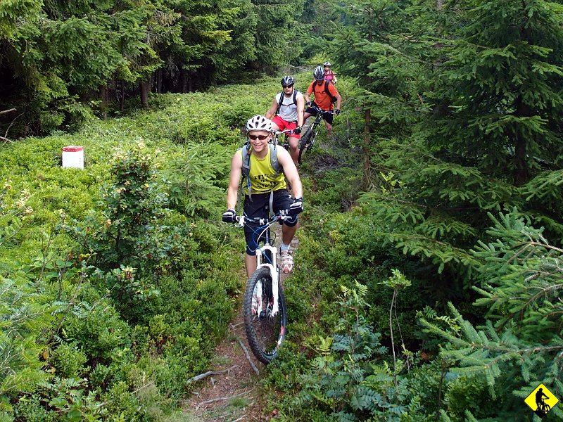 4.jpg - Wszystko jak poprzednio wąską ścieżką wzdłuż słupków wyznaczających Polskę i Słowację.
