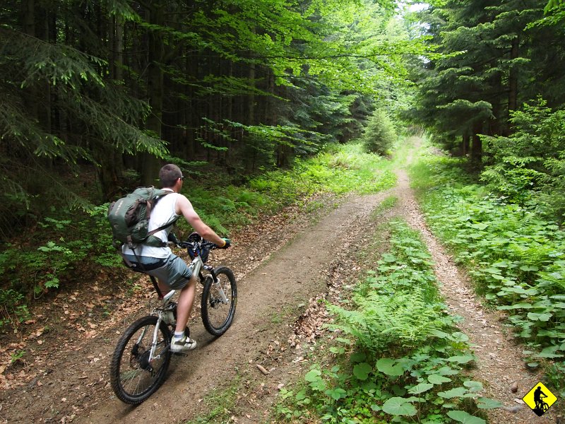 2.JPG - Kręcimy z Wojtkiem asfaltem do granicy, gdzie na przełęczy Glinka wbijamy się na fajny singiel, prowadzący wzdłuż niej. Plan jest taki: W zależności jak nam będzie szło tak daleko nim jedziemy 