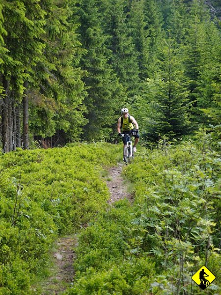 3.jpg - Muszę przyznać, że po kilku miesiącach jeszcze pamiętam tą ścieżkę! Naprawdę kawałek solidnego singla. Szlak koloru niebieskiego prowadzący Beskidem Równym na Rycerzową.