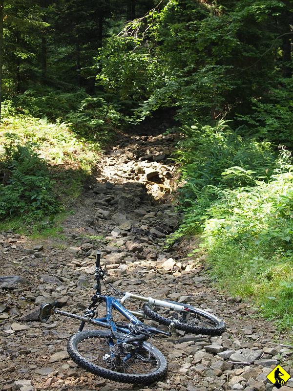 P7212038.jpg - Najtrudniejszy moment to wdrapanie się na Parszywkę. Jest to ulubione miejsce Piotrka :) Samo prowadzenie i wnoszenie :) Stalowa łyda.