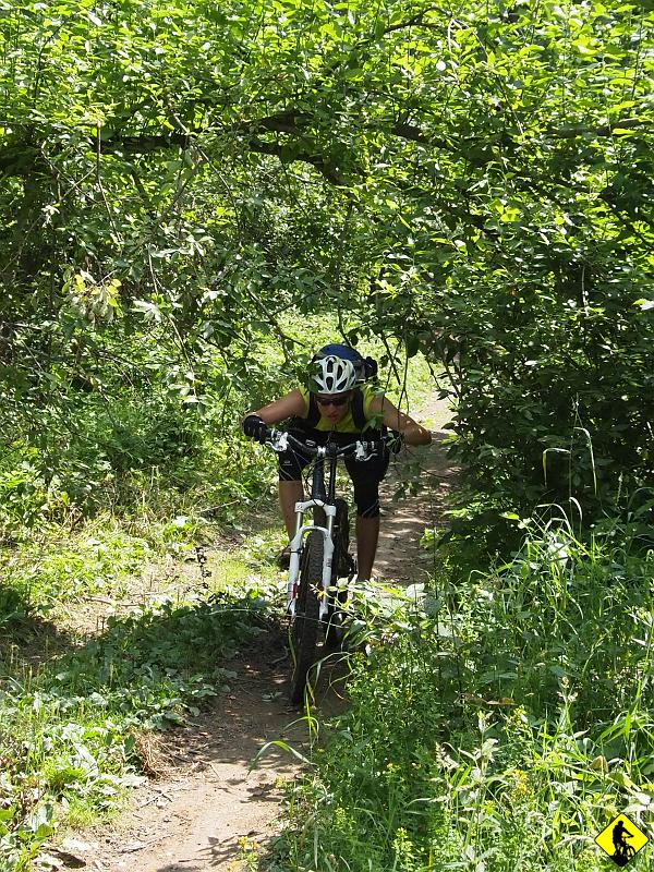 P7212051a.jpg - Za szczytem zaczyna się odcinek, którym nie dane mi było jeszcze jechać. Mijamy Zagrody, Makowską Górę i wspinamy się na Mioduszynę.