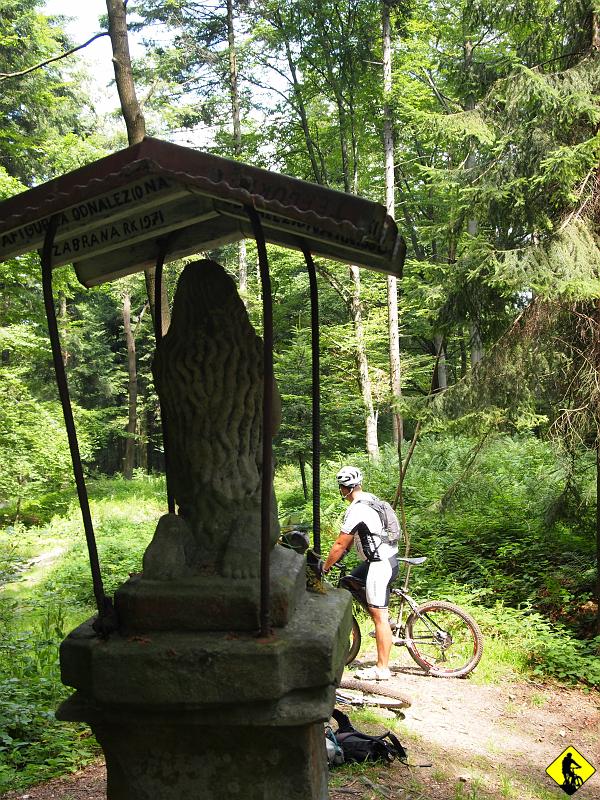 P7212082.jpg - Tak jak pisałem, z "tej" strony kamieni jest jak na lekarstwo, bite drogi i ścieżki dominują. Chwilowo pojawia się asfalt, gdy trzeba przebić się przez drogę 956 w Palczy.