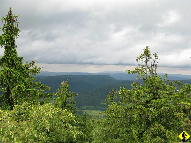 IMG_2552.jpg - Pogoda ciągle nieciekawa.