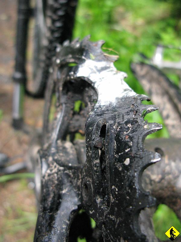 IMG_2638.jpg - Zjazd po czeskiej stronie BB kończy spotkaniem z przepustem strumykaw drodze. No cóż... dobrze, że jest cały... korba już nie może tego powiedzieć.