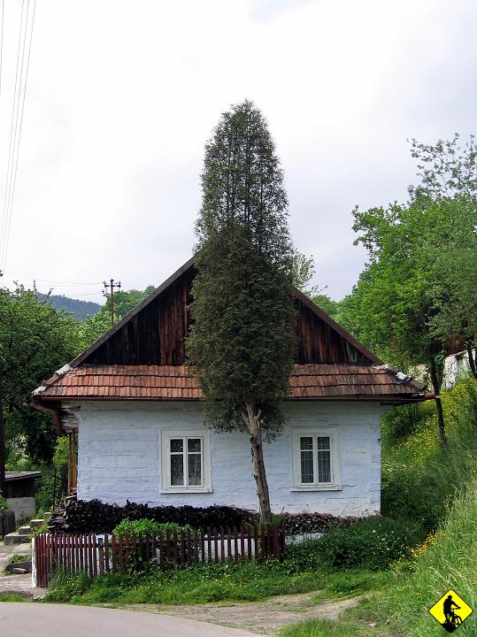 IMG_1050a.jpg - Grupa Żurawnicy to chyba najfajniejsze pasmo jakim ostatnio jechałem. Jest w nim prawie wszystko: ubite drogi, singielki, skałki, polany, widoki... itd itd. Szkoda tylko, że ma 7km i ,że jechaliśmy w tą "wznoszącą" się stronę.